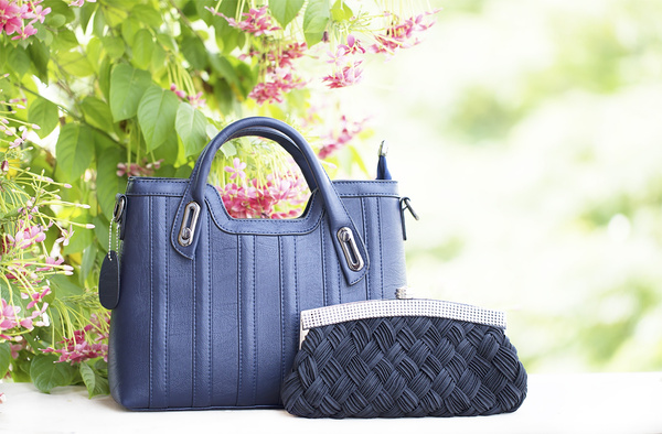 Blue Purse and Wallet Outdoors